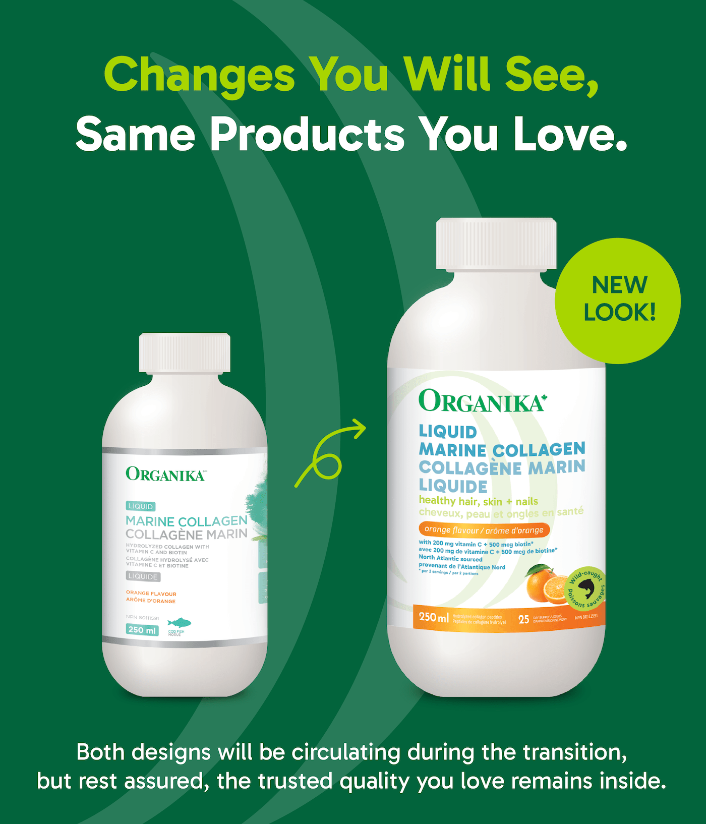 Liquid Marine Collagen - Orange - Organika Health Products