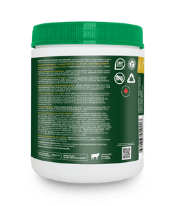 O1 - Pineapple Punch - Organika Health Products