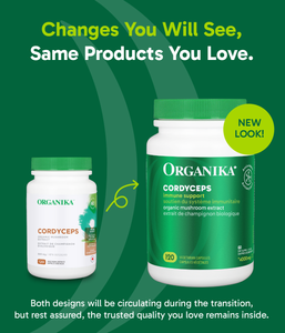 Cordyceps Organic Mushroom Extract