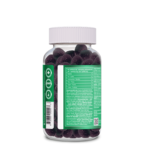 Reishi Gummies - Blueberry Burst - Organika Health Products