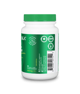 Vitamin B3 Niacinamide - 90 Vcap - Organika Health Products