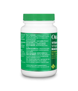 Vitamin B3 Niacinamide - 90 Vcap - Organika Health Products