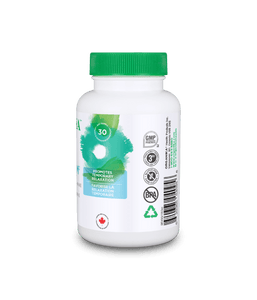 Mind Calm Capsules with Magnesium Bisglycinate & L-Theanine - 120 Vcaps - Organika Health Products